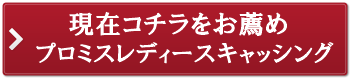 SBI新生銀行カードローン エル(旧 新生銀行レイク)(受付終了) 借入れ